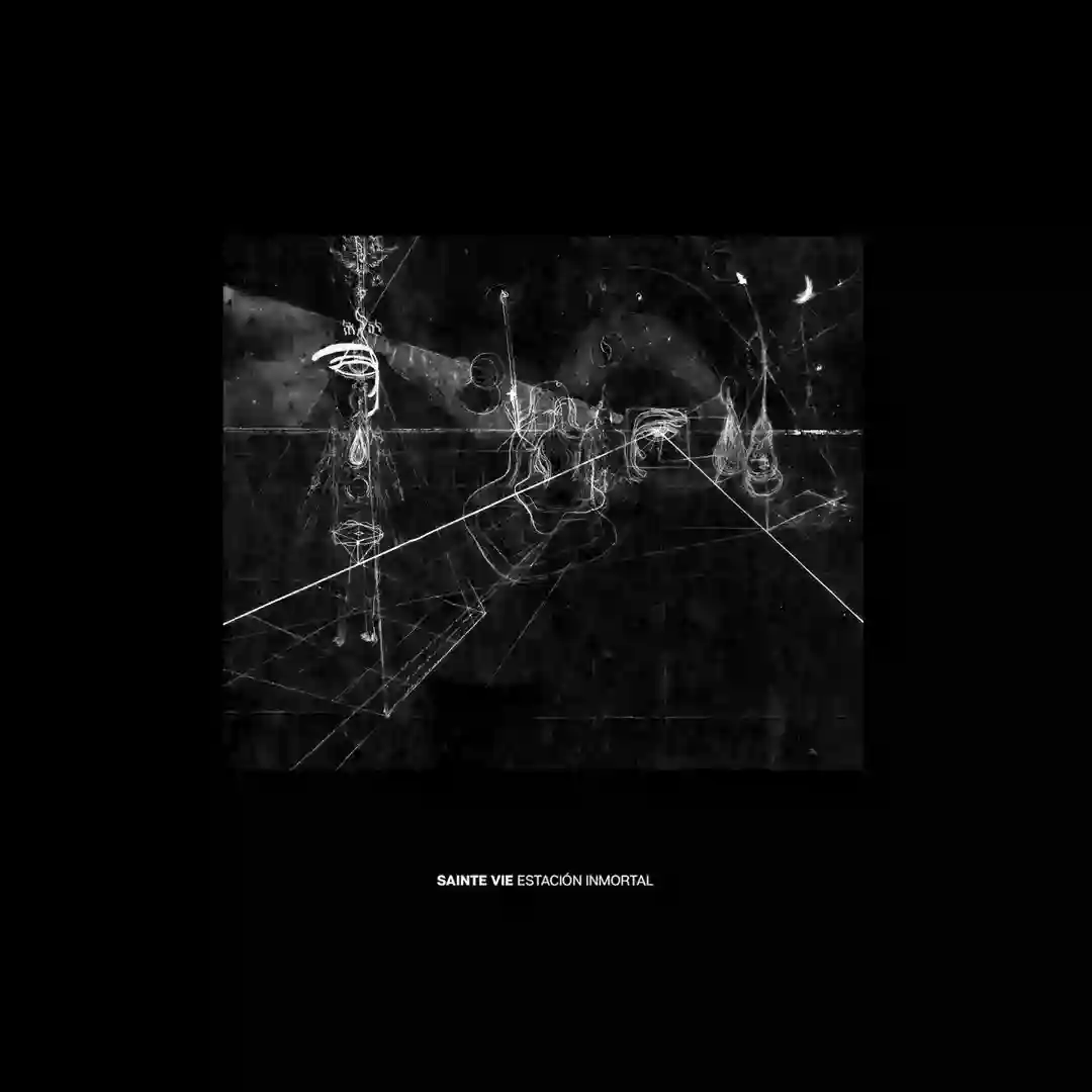Albatross cover