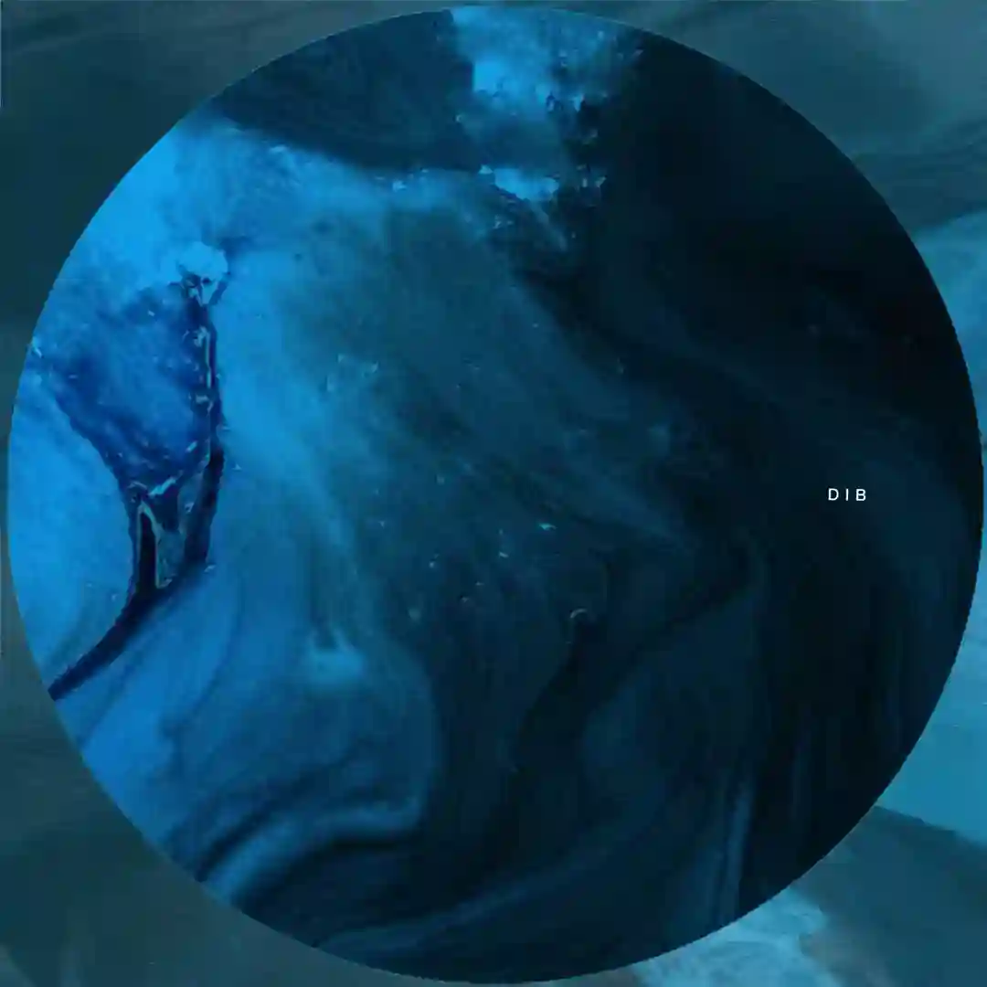Sunthe Frontat 001.3 (Original Mix) cover