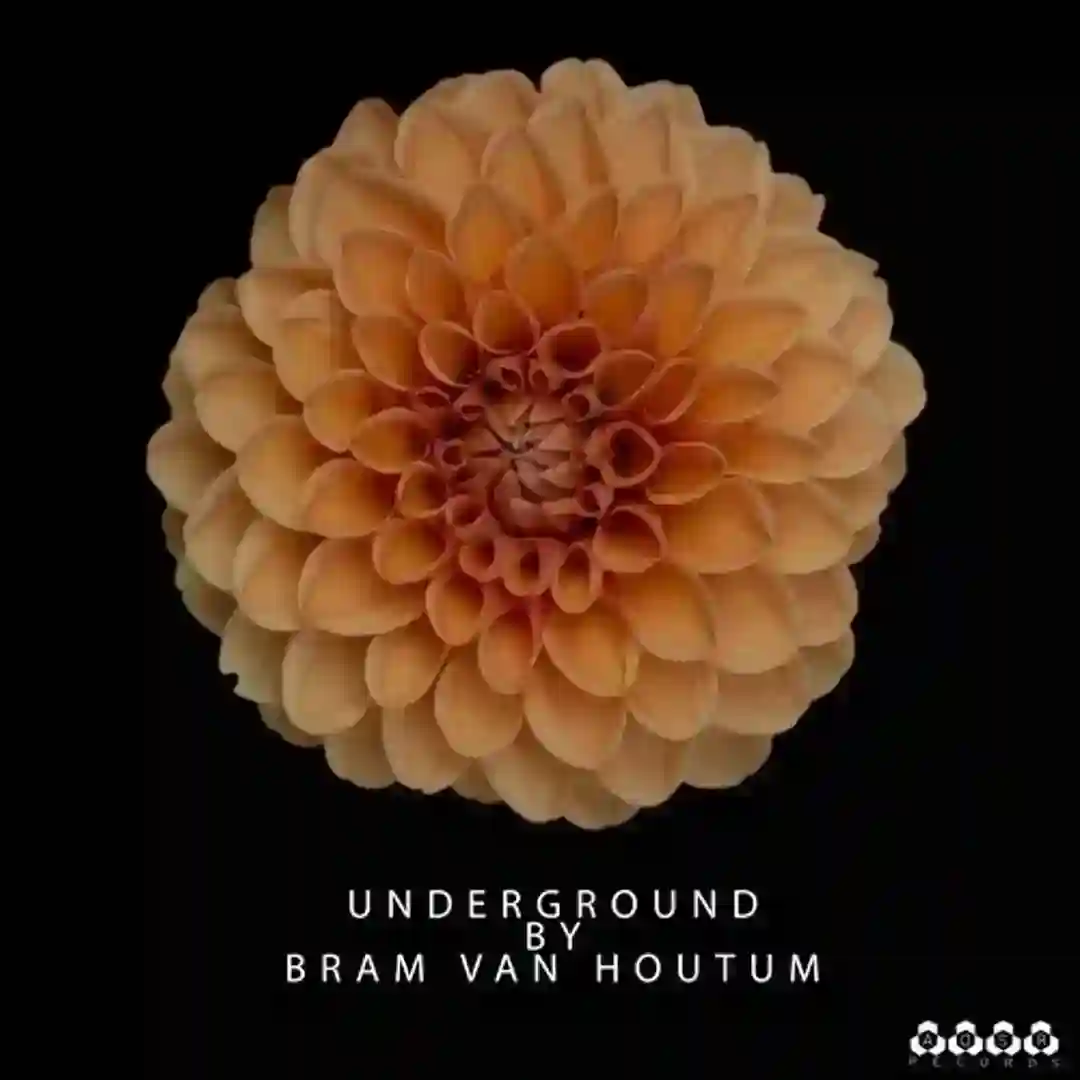 King of House Music (Original Mix) cover