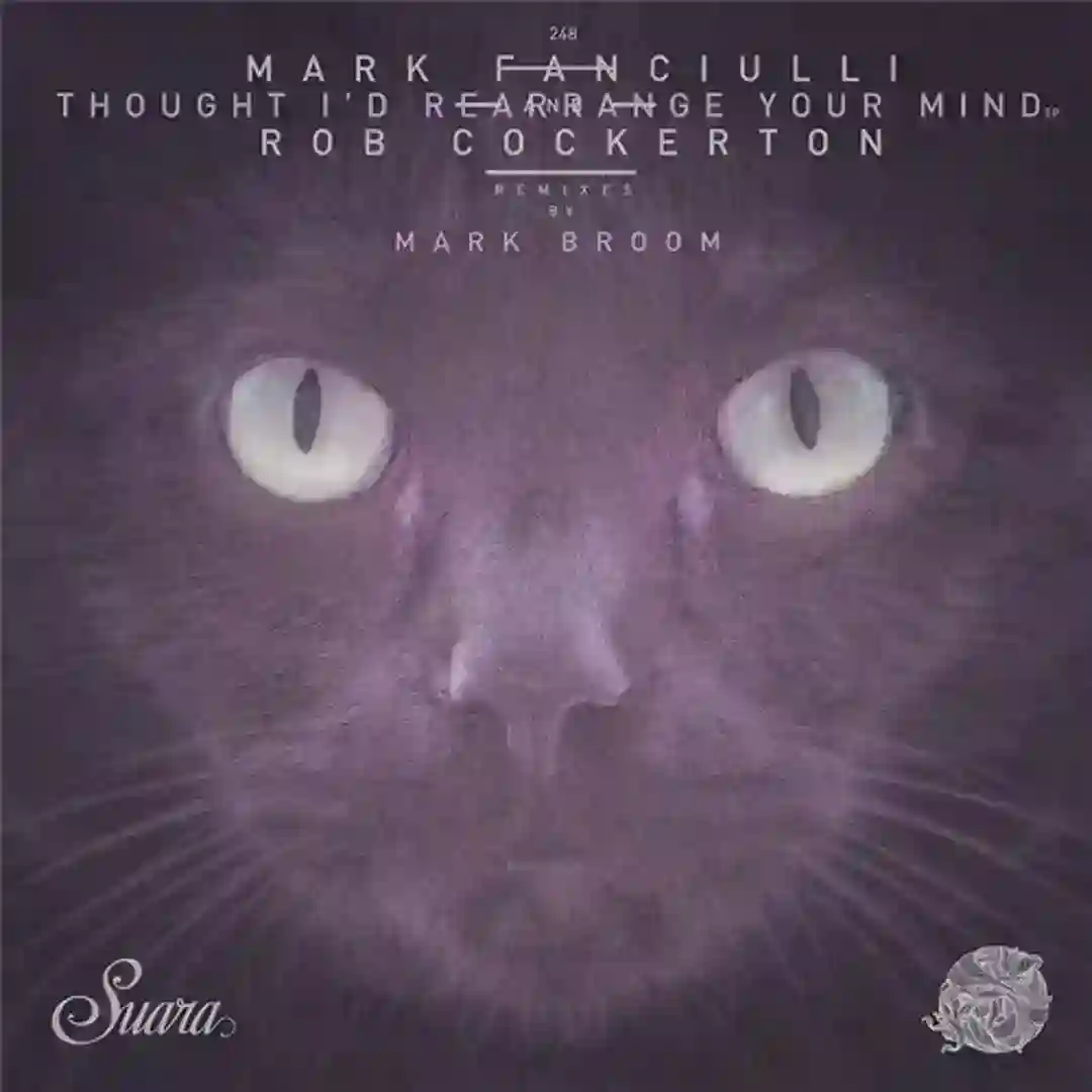 Voices In My Head (Mark Broom Remix) cover