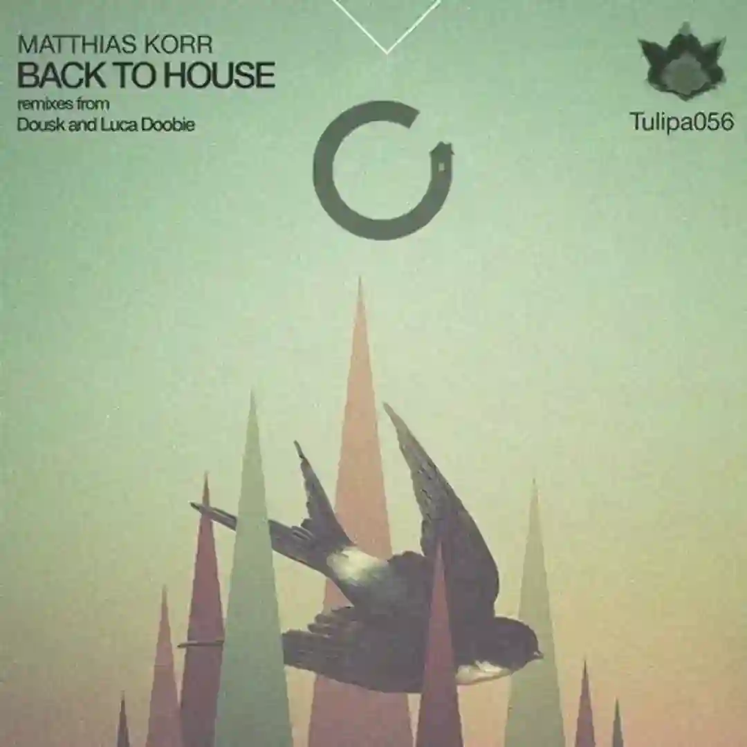 Back To House (Luca Doobie Haunted House Remix) cover