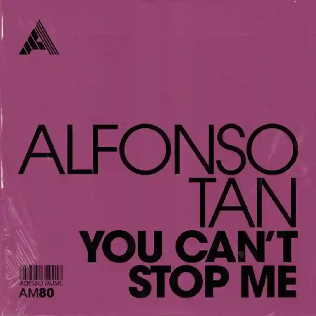 You Can't Stop Me (Extended Mix) cover