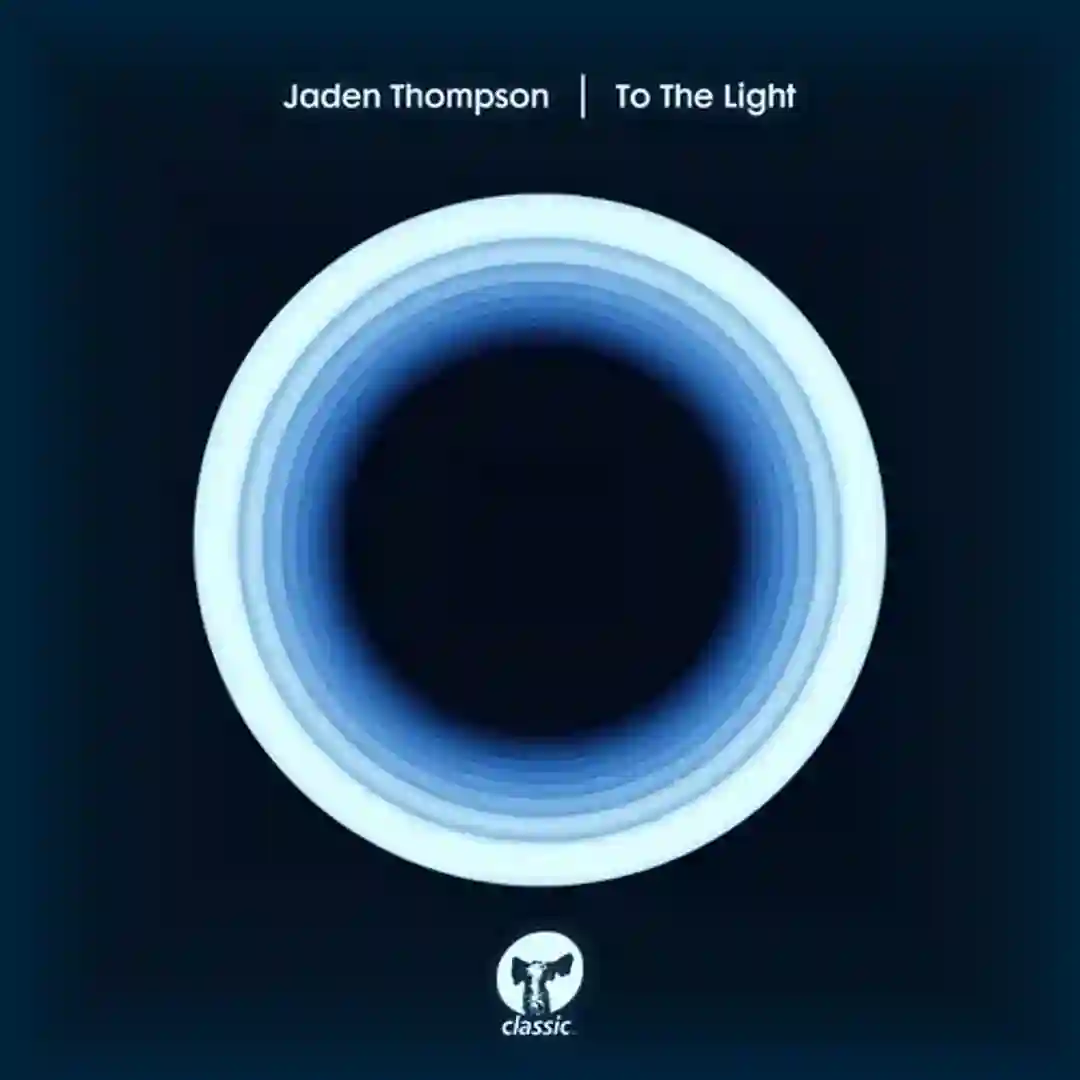 To The Light (Extended Mix) cover