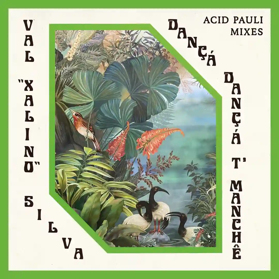 Dançá Dançá T'Manchê (Acid Pauli's Fullmix - Short Edit) cover