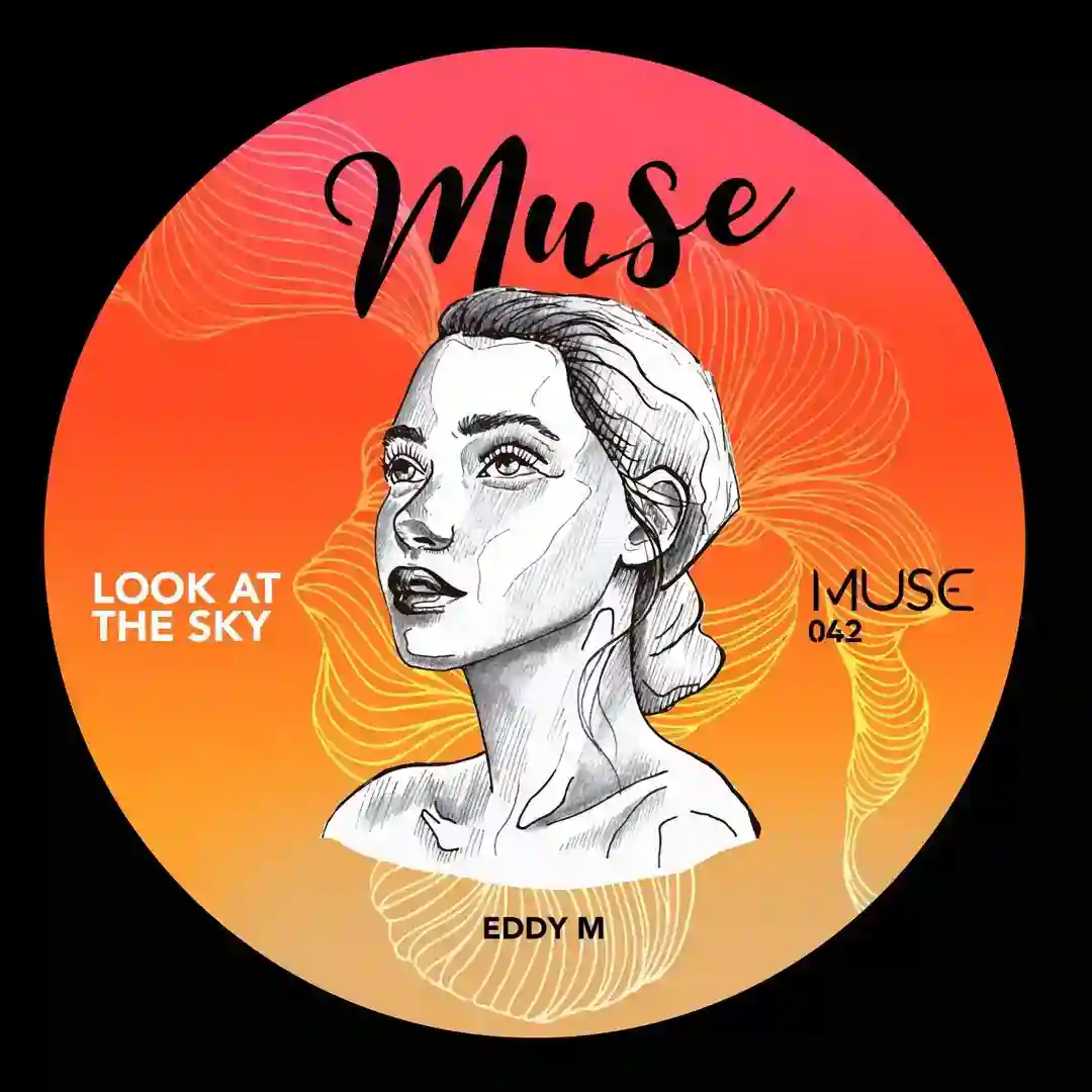 Look At The Sky (Original Mix) cover
