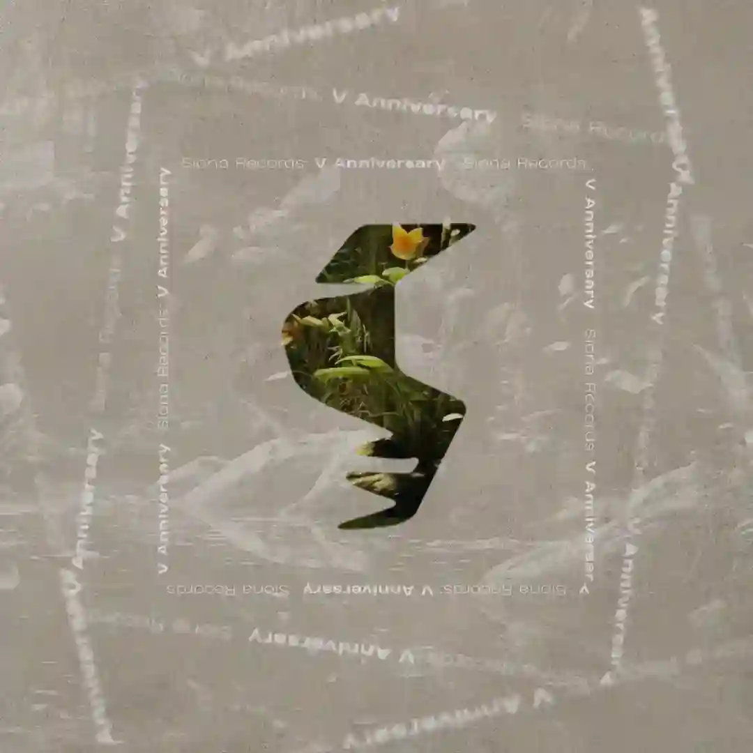 On the Inside (Extended Mix) cover