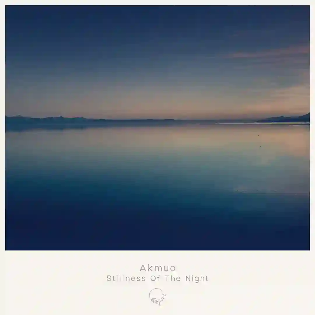 Stillness of the Night cover