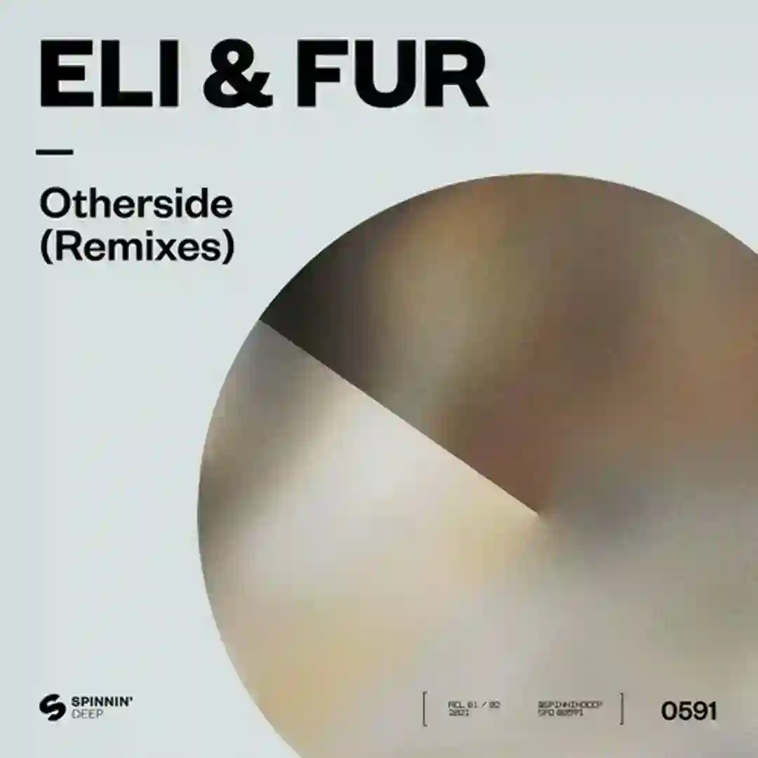 Otherside (Remixes) cover