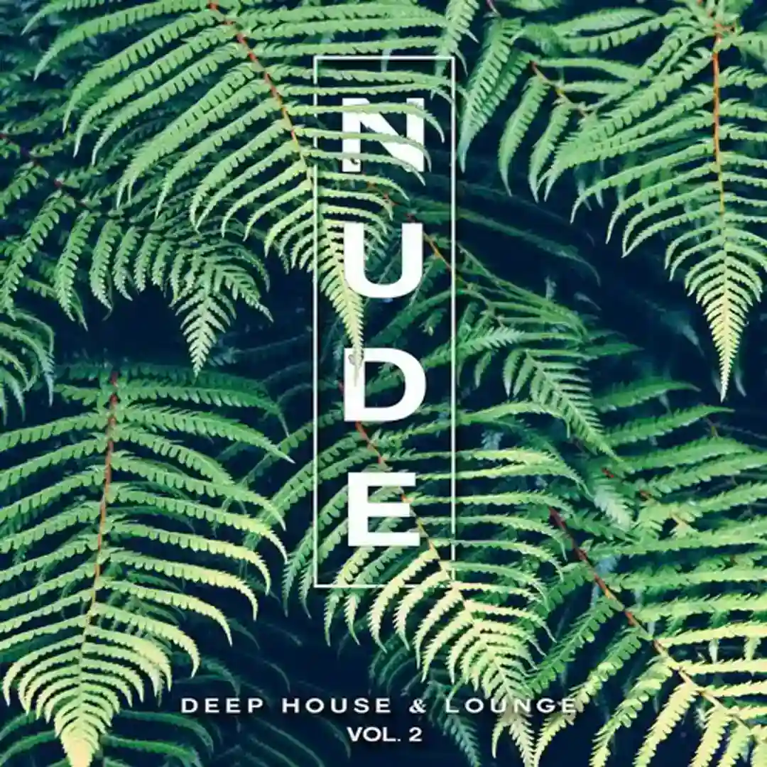 Nude, Vol. 2 cover