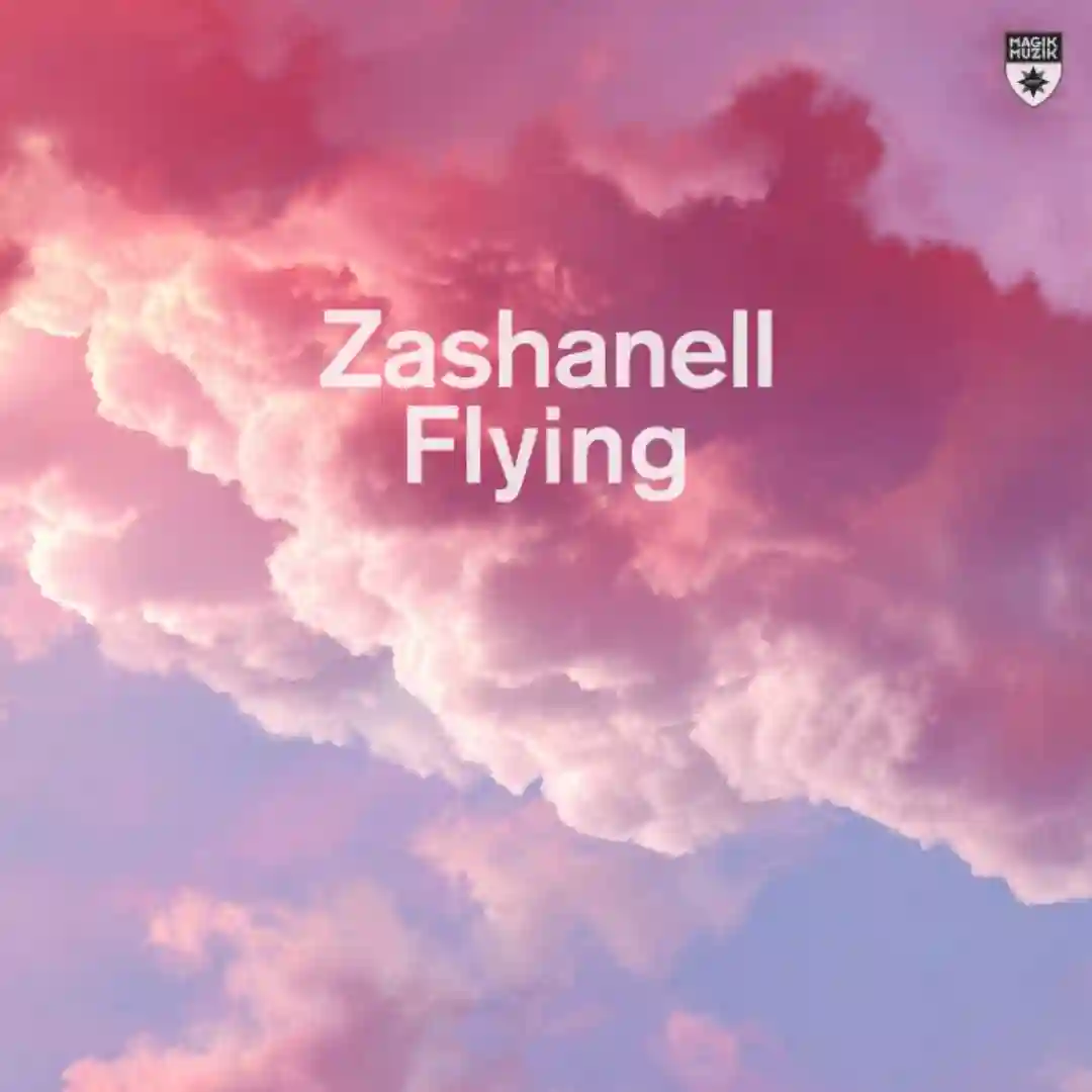 Flying (Extended Mix) cover
