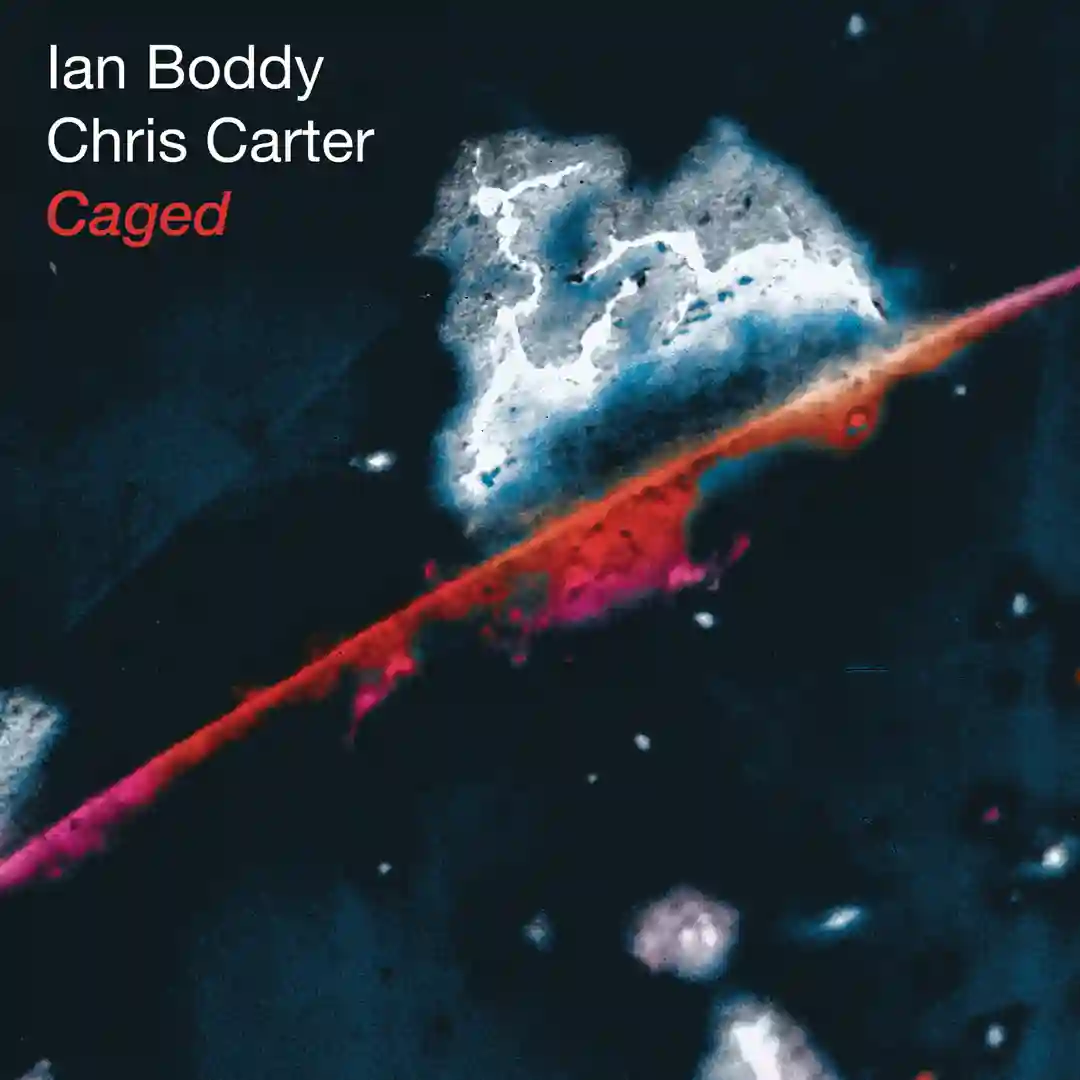 Disembodied (2025 Remaster) cover