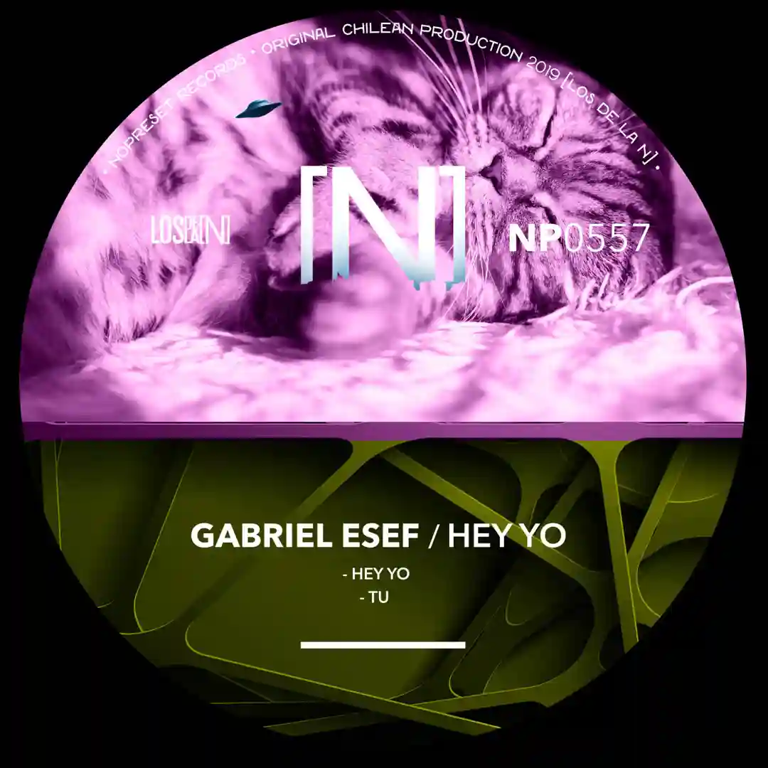 Tu (Original Mix) cover