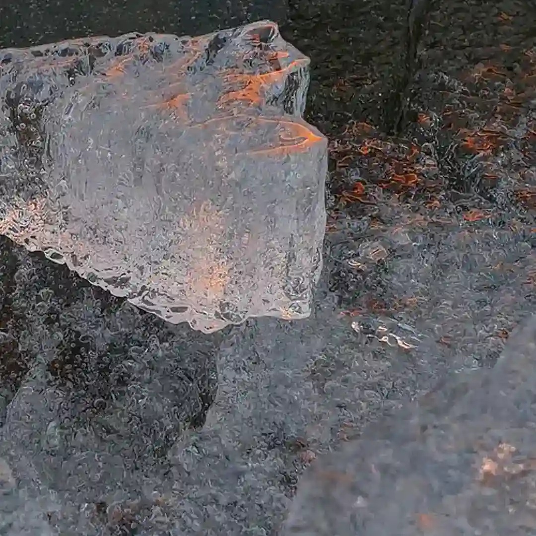Reverberation cover