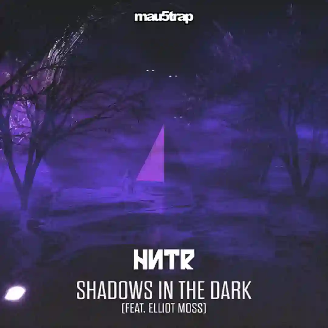 Shadows in the Dark (Extended Mix) feat. Elliot Moss cover