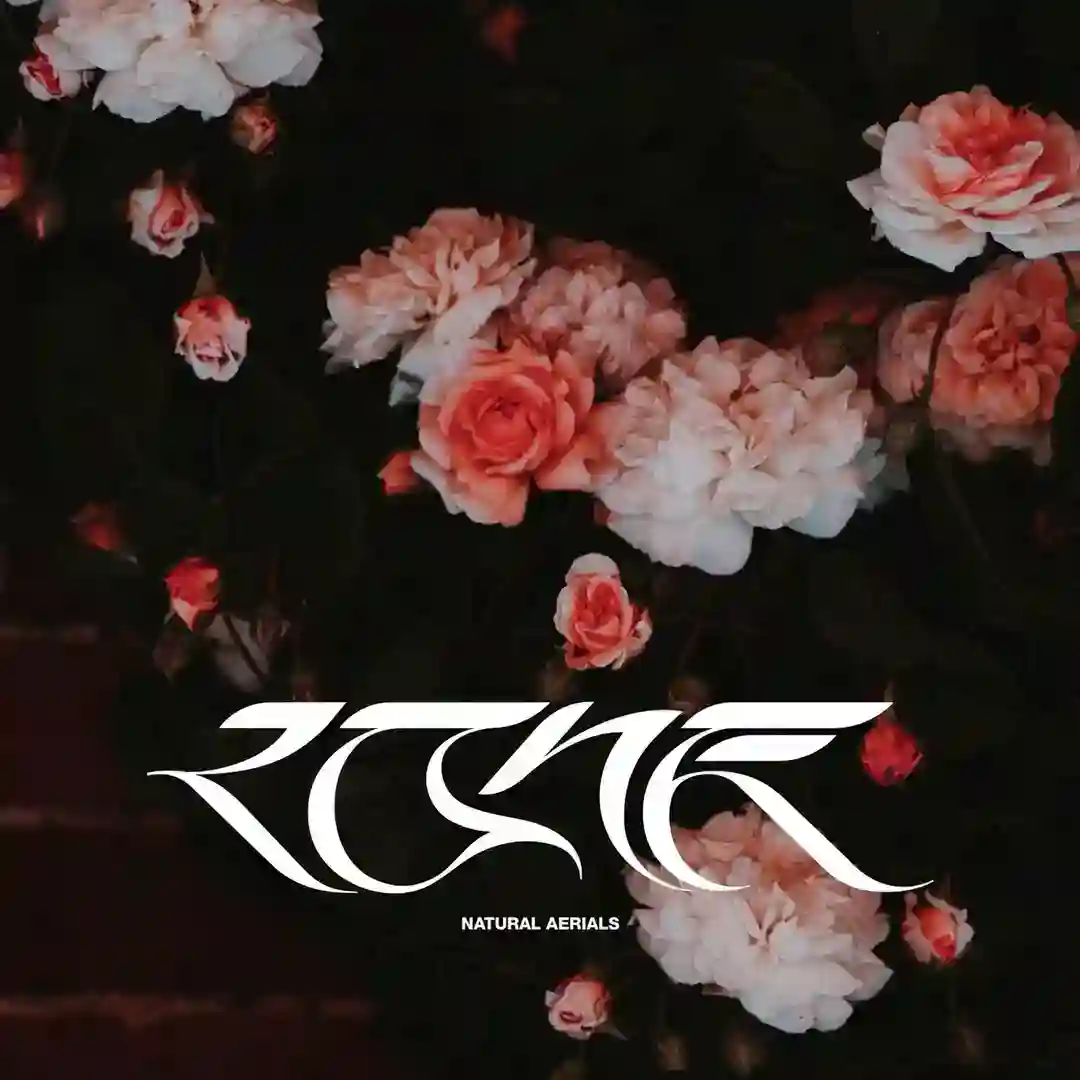 Natural Aerials cover