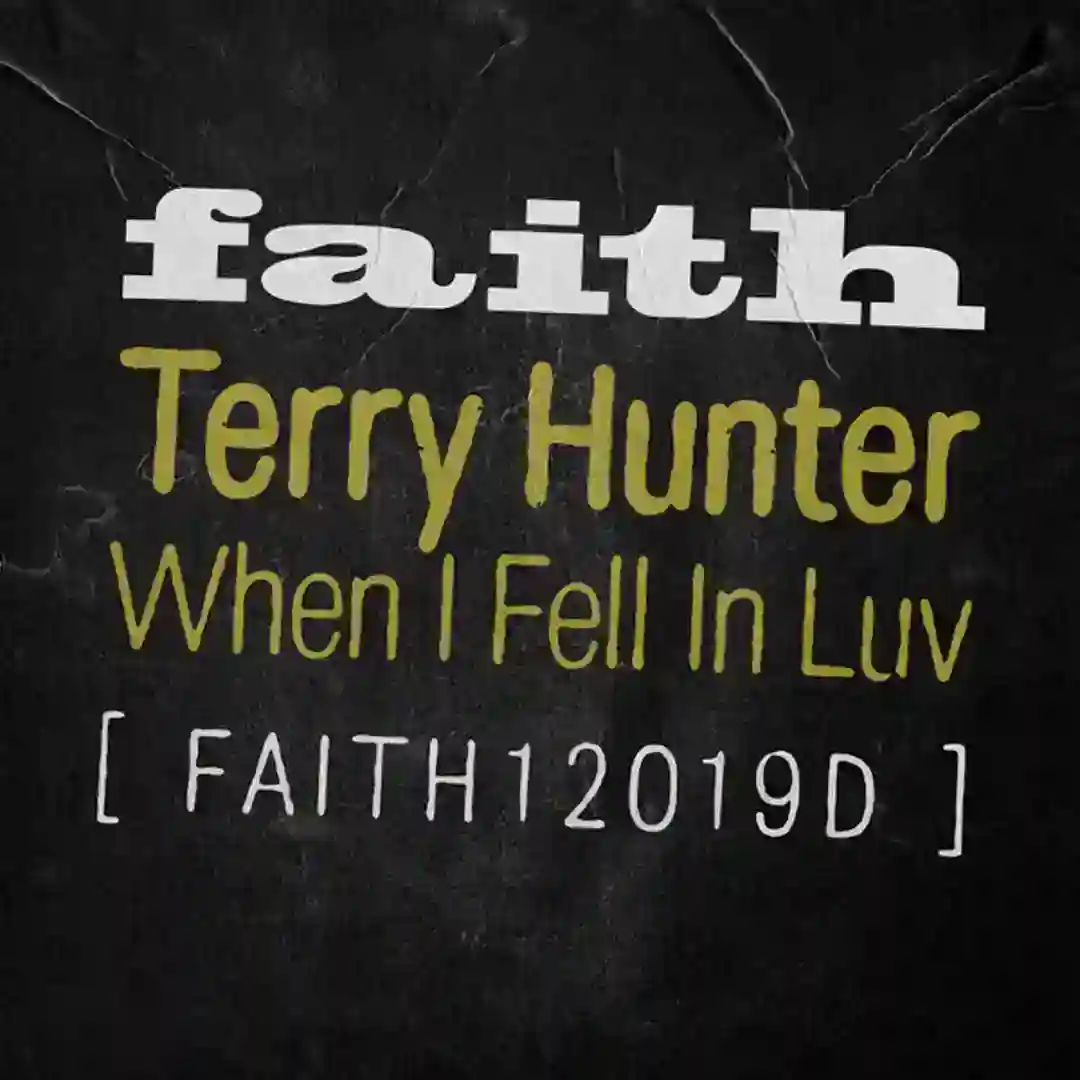 When I Fell In Luv (Terry Hunter Extended Remix) cover