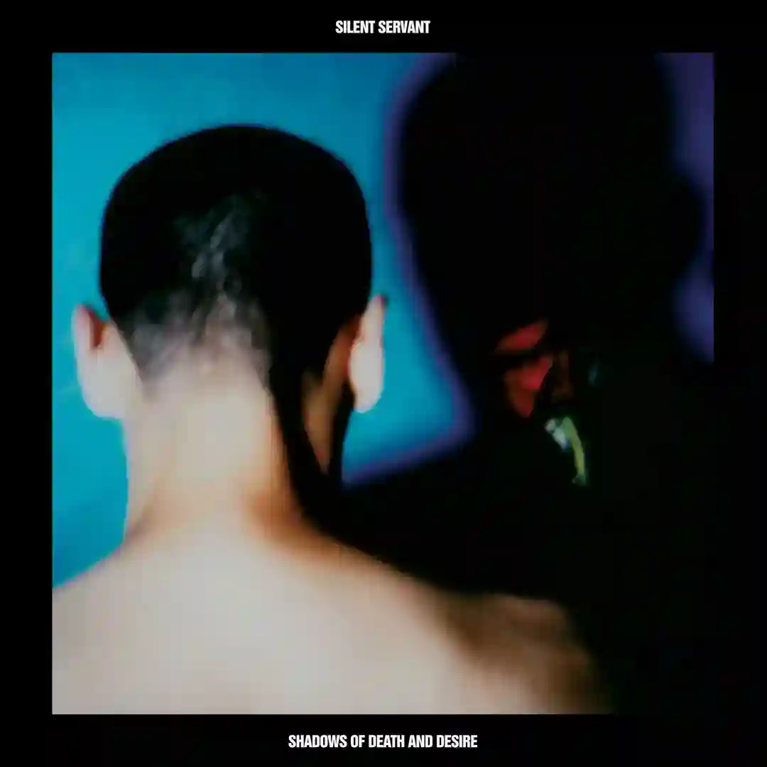 Optimistic Decay cover