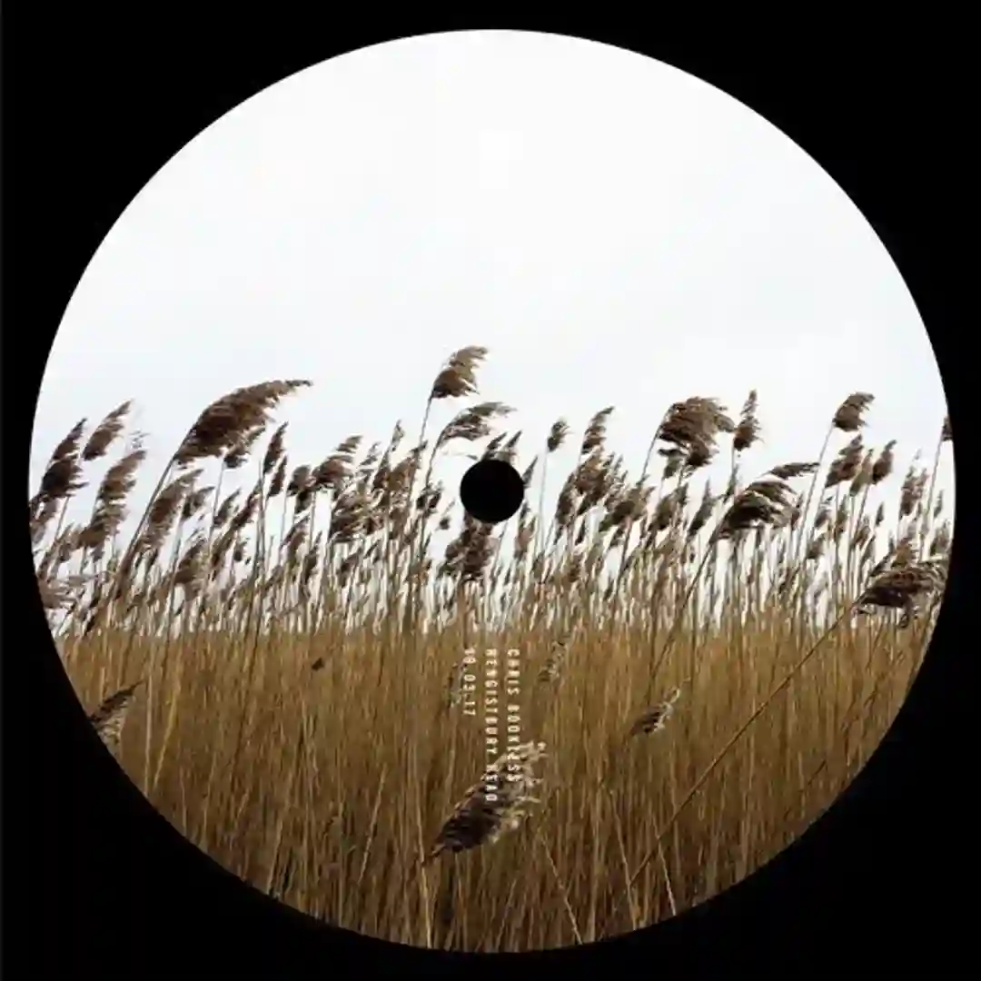 TDY (Original Mix) cover