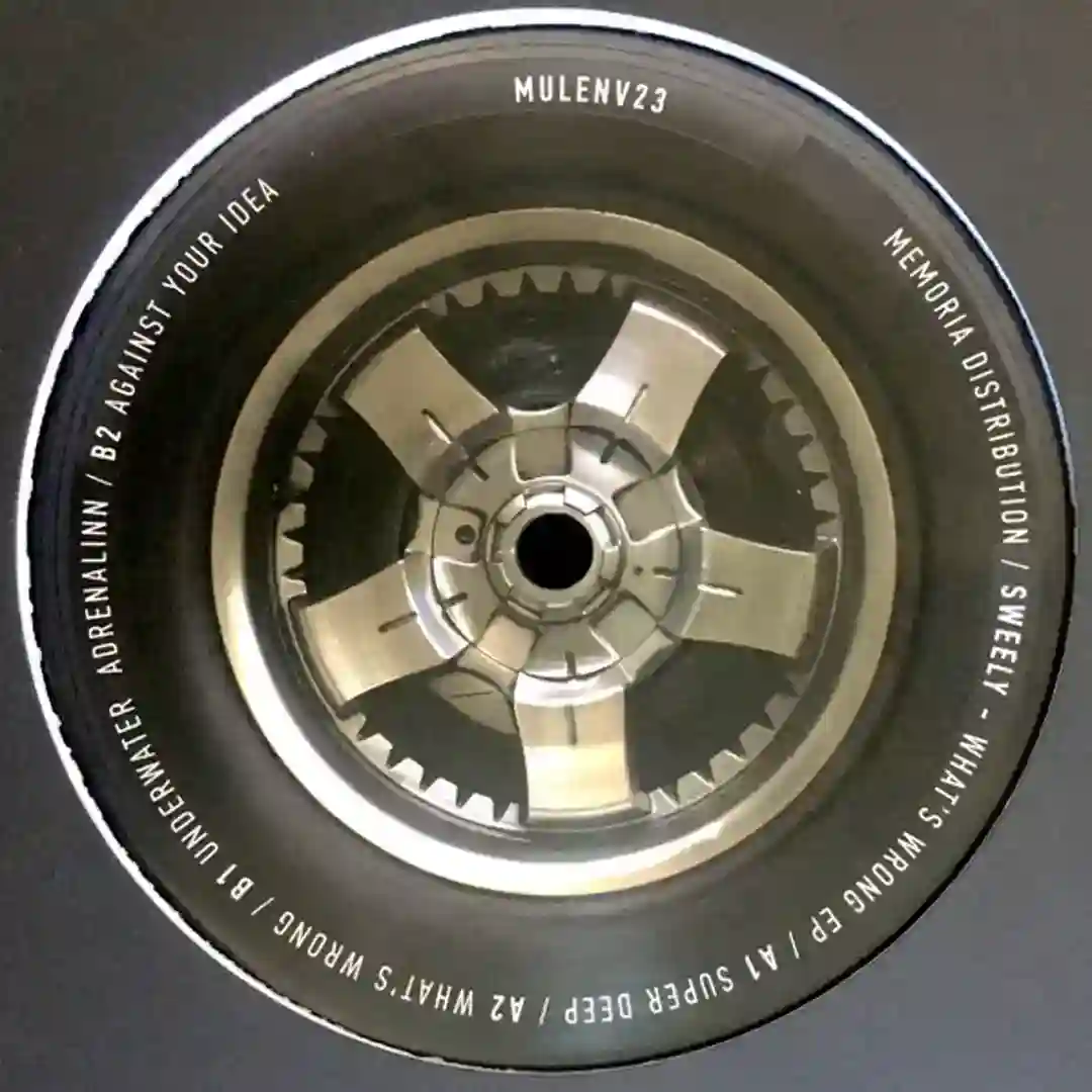 What’s Wrong cover