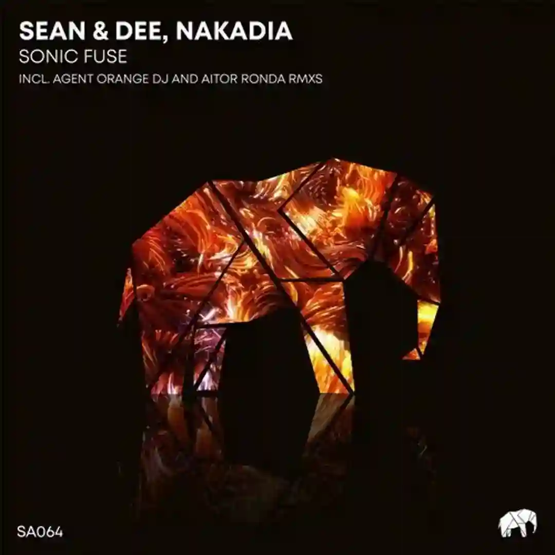 End of Wormhole (Original Mix) cover