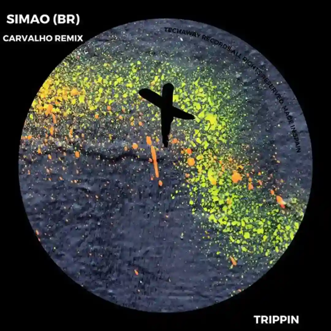 Trippin (Carvalho BR Remix) cover