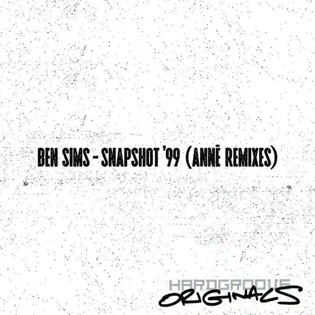 Snapshot '99 ANNĒ Remixes cover