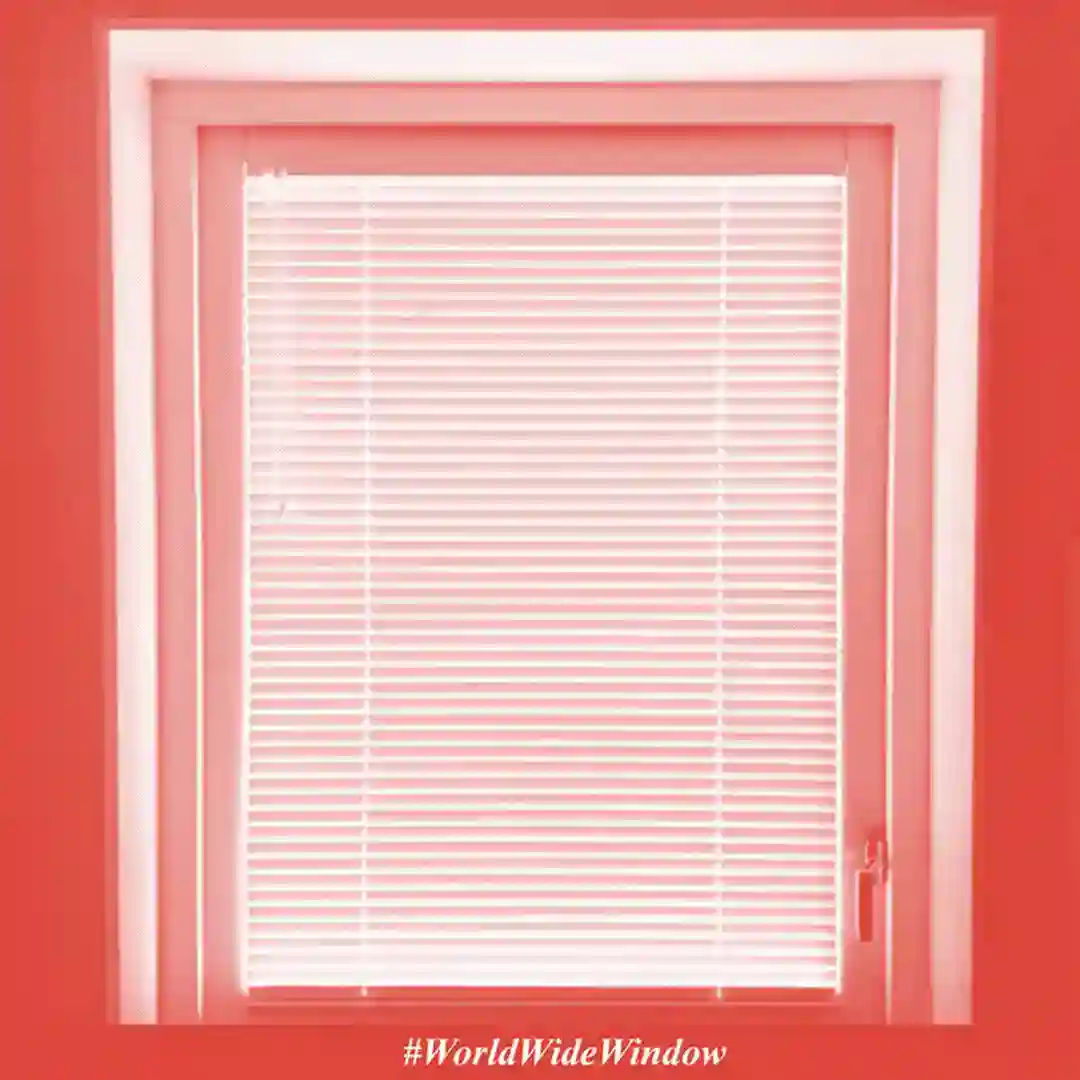 L.A.M cover