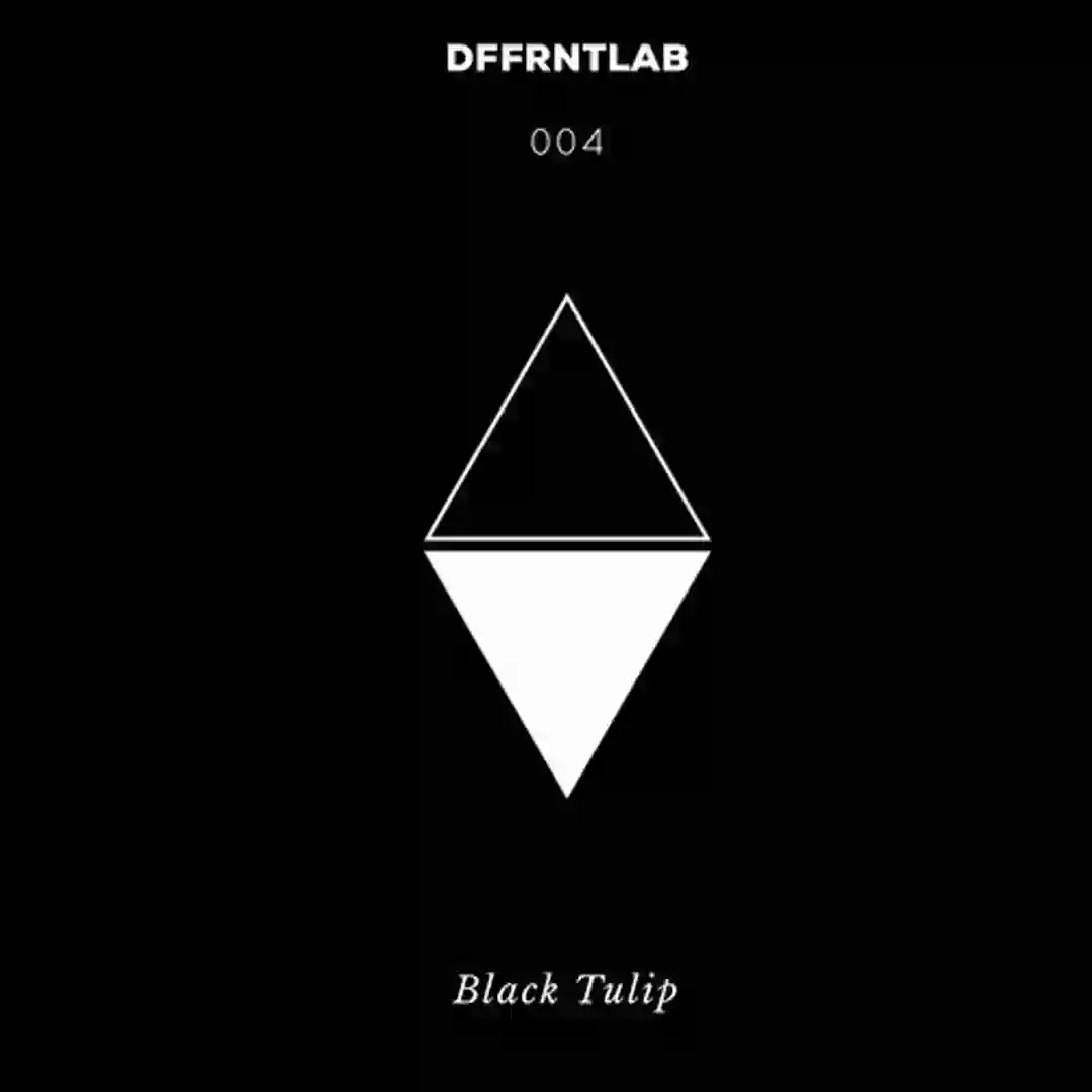 Black Tulip cover