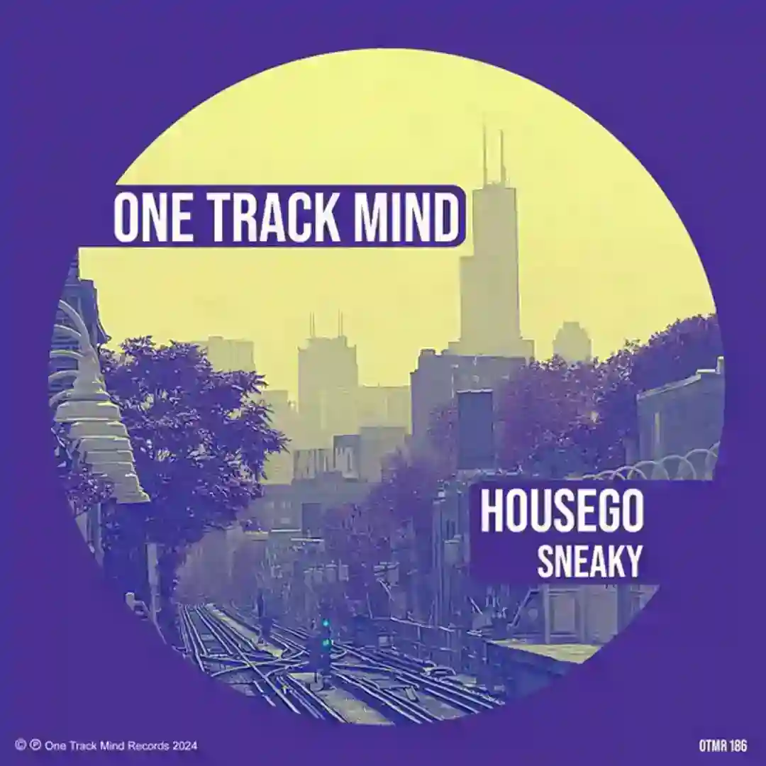 Sneaky cover