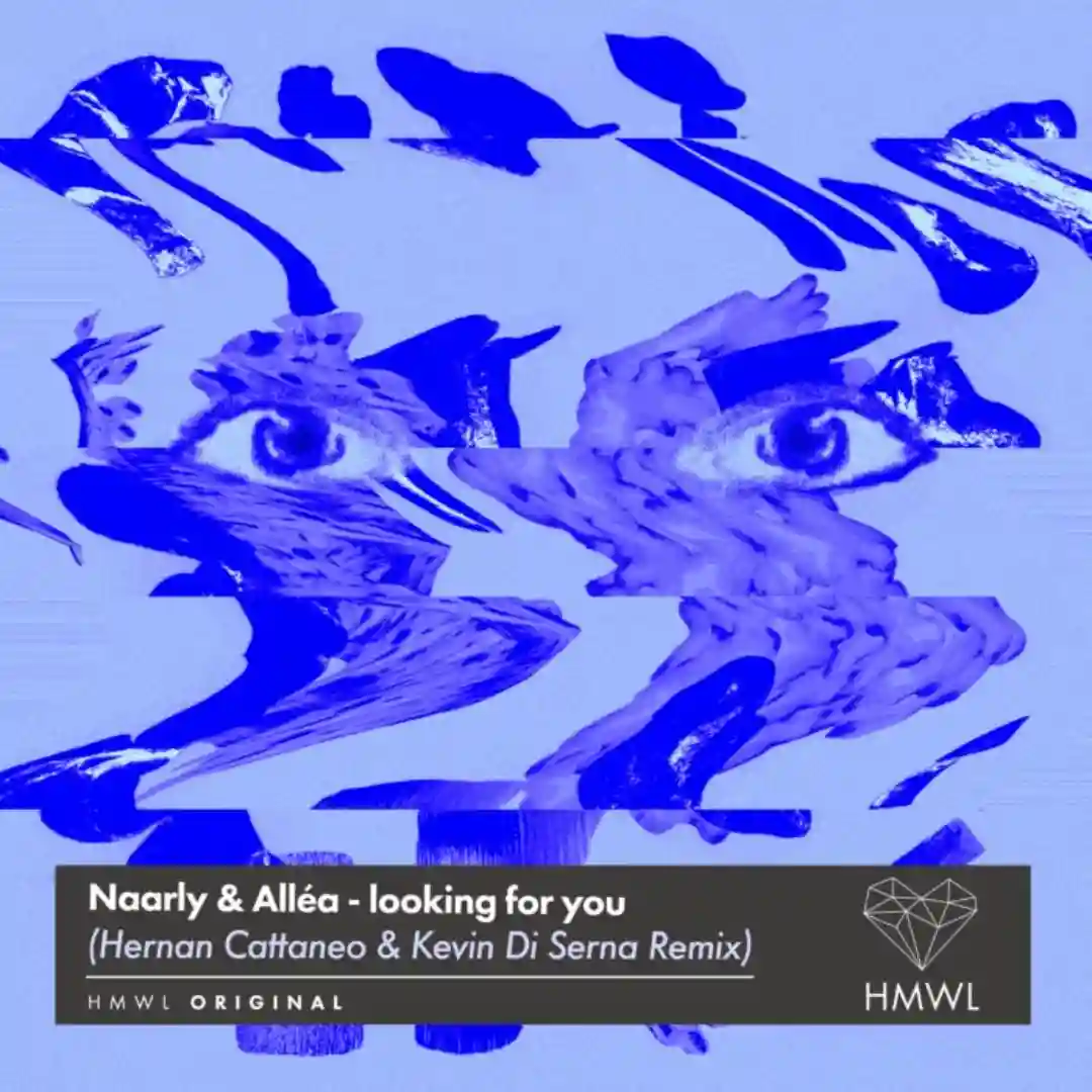 looking for you (Hernan Cattaneo & Kevin Di Serna Remix) cover