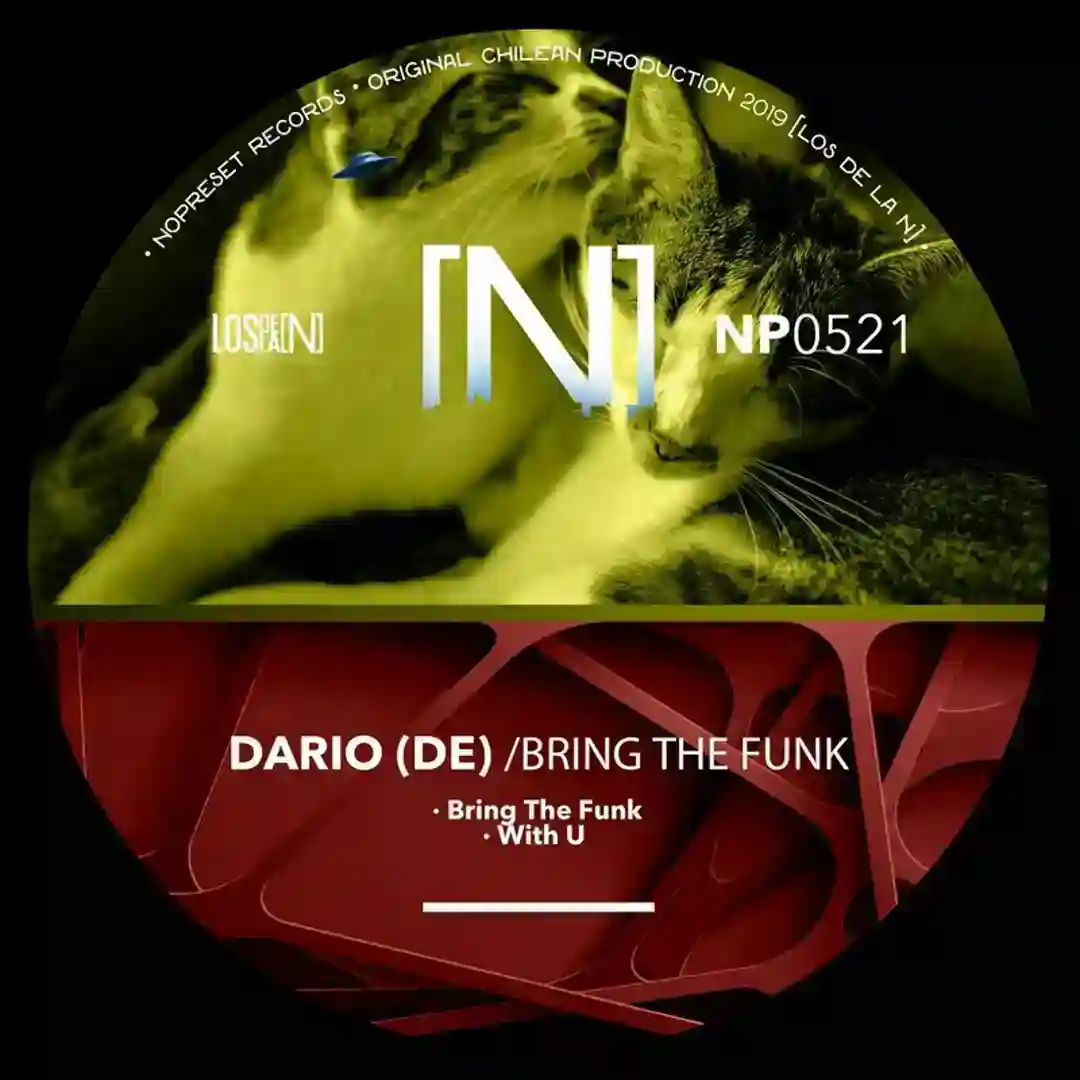 Bring The Funk (Original Mix) cover