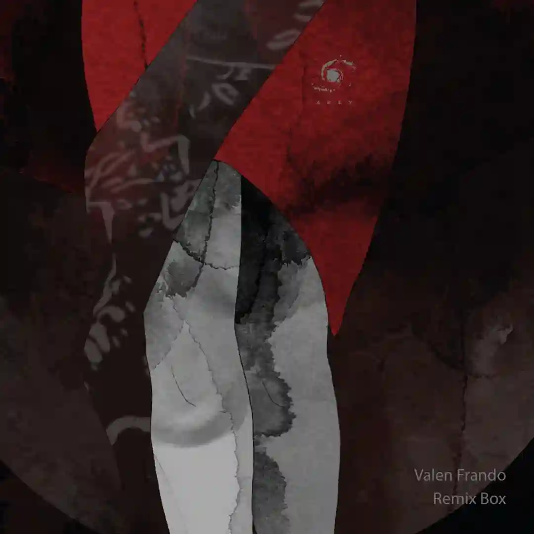 Remix Box cover