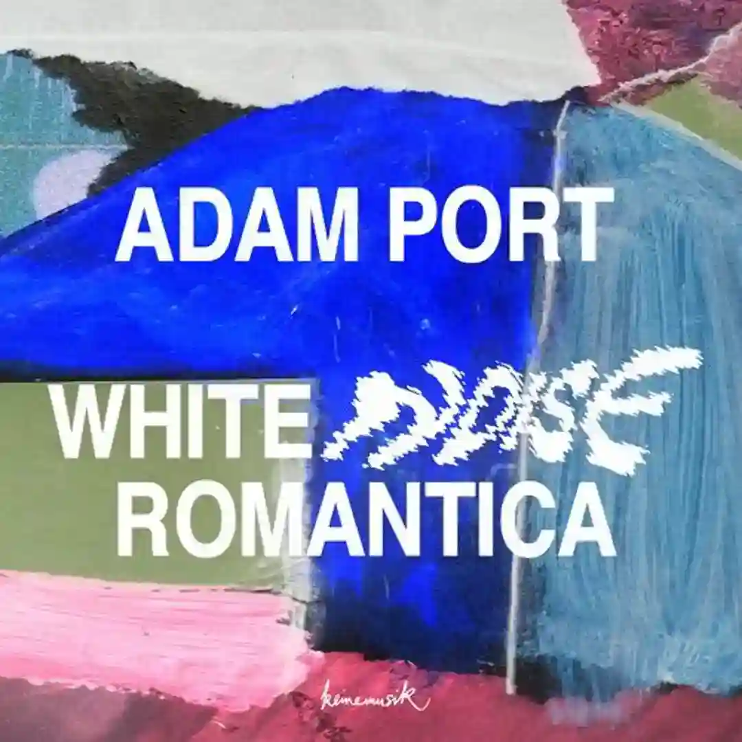 Run Run Run (Adam Port Remix) cover