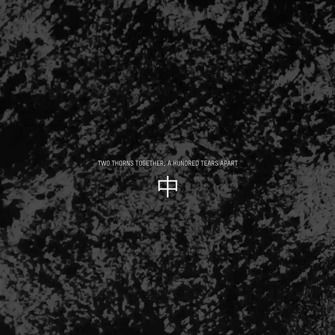Manic (Original Mix) cover