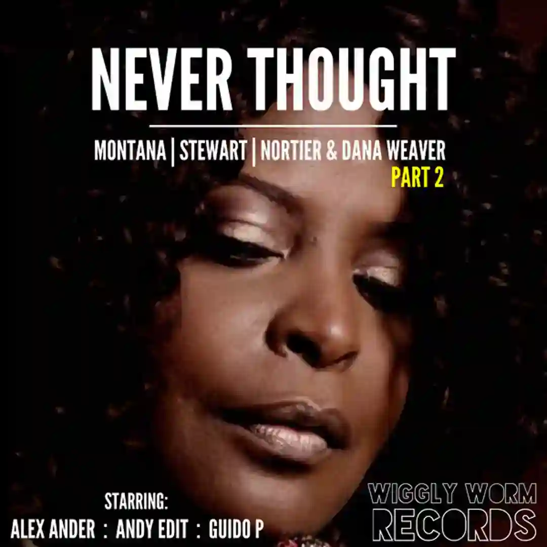Never Thought (Remixed) cover