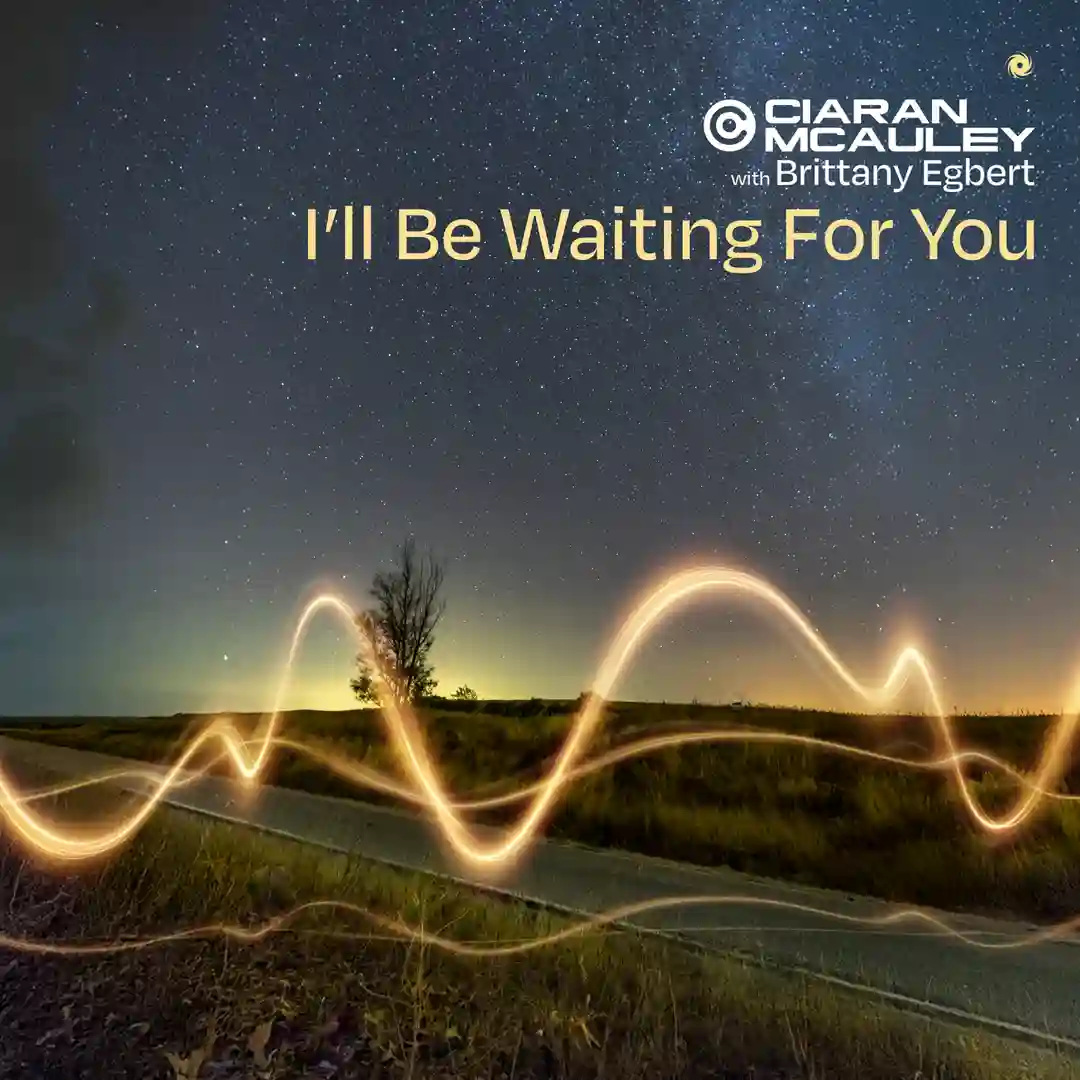 I'll Be Waiting For You (Extended Mix) cover