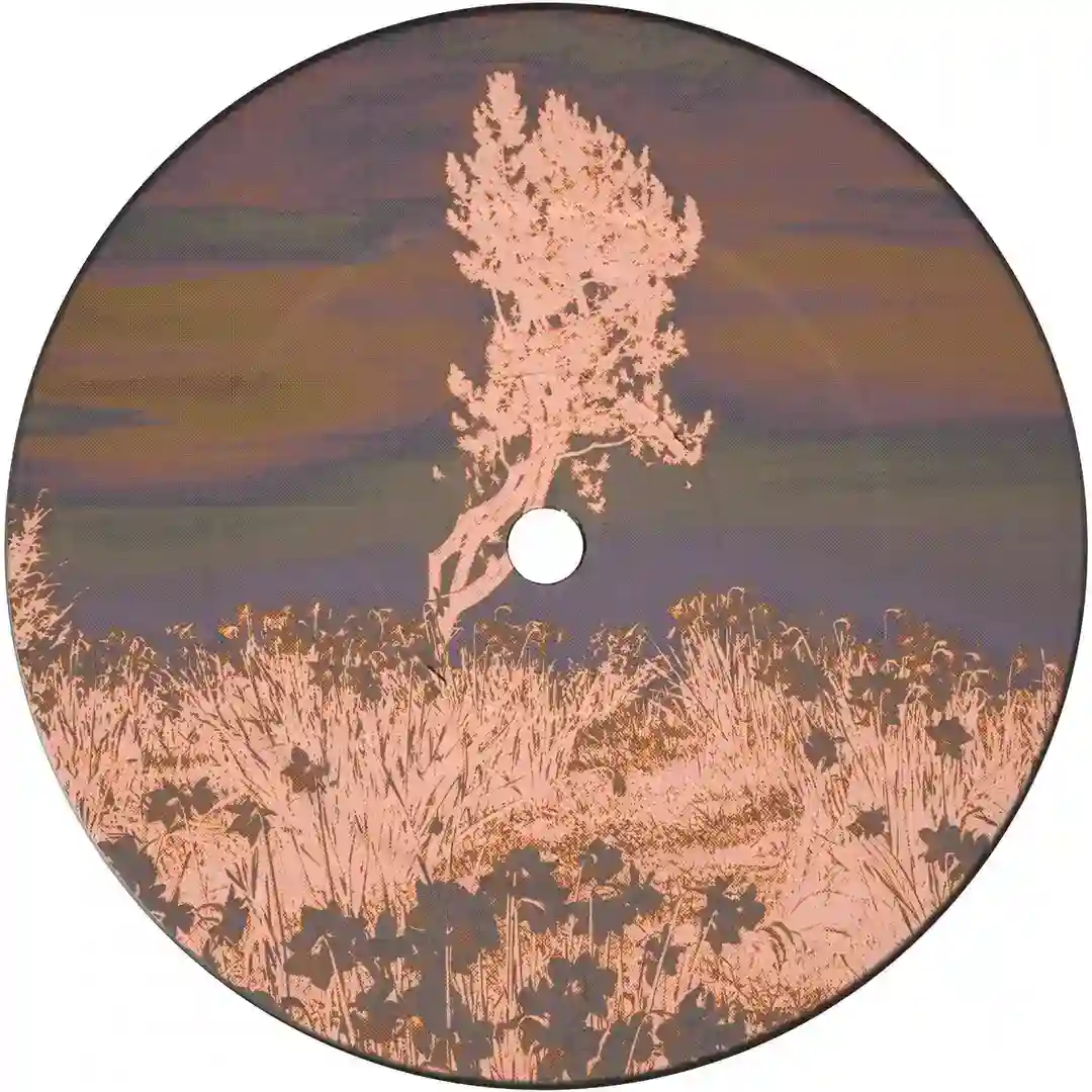 Alien Groove Extractor cover