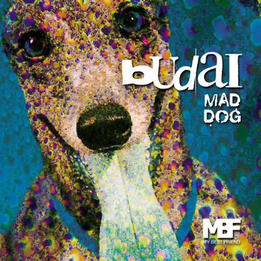 Mad Dog (Original Mix) cover