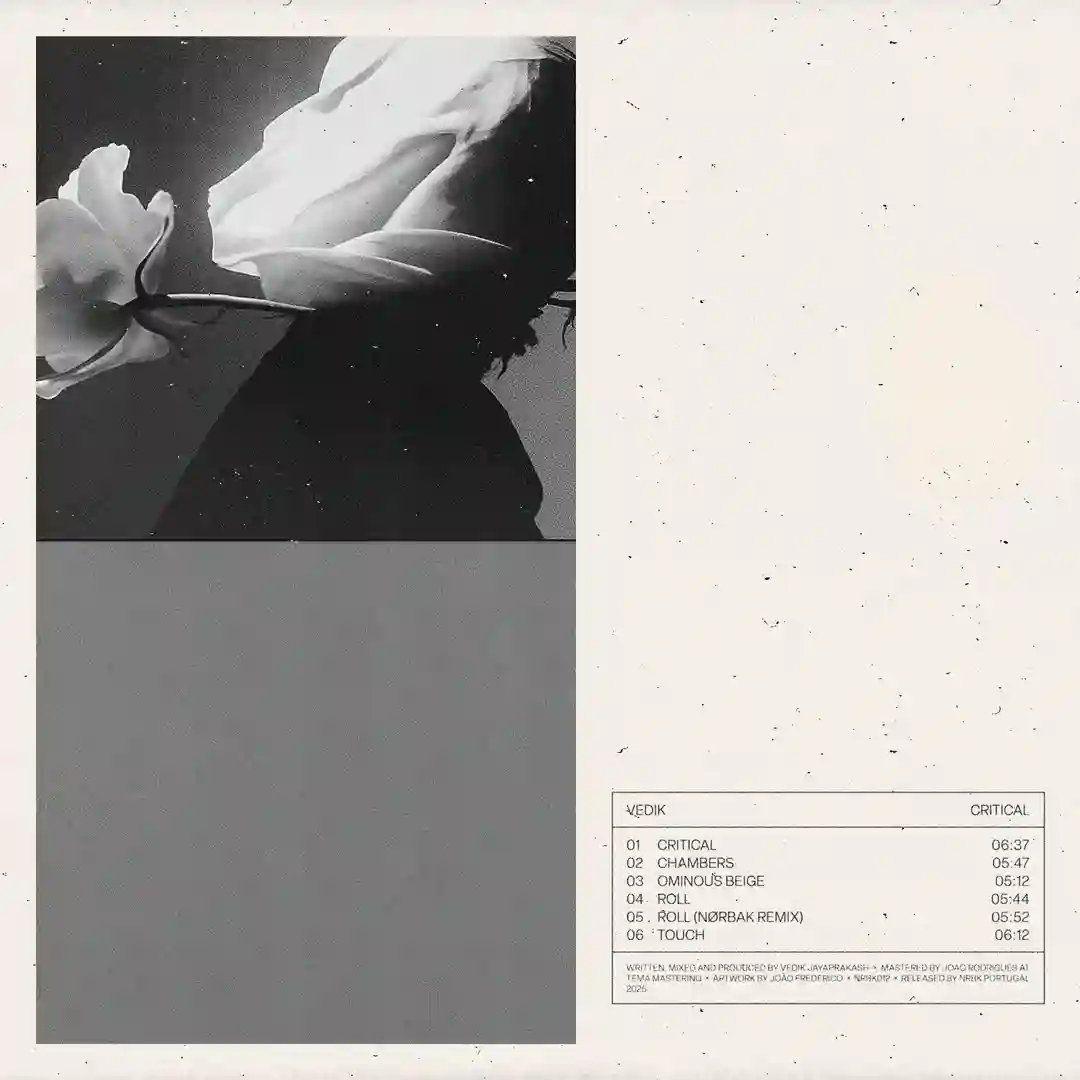 Critical (Original Mix) cover
