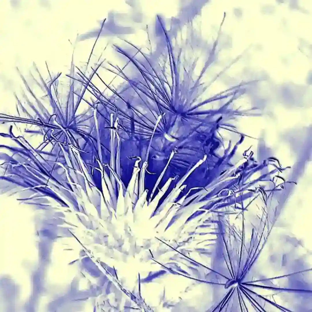 Dissolvent cover