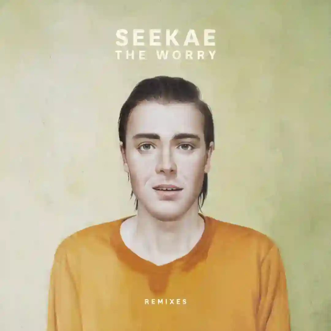 The Worry (Original Mix) cover