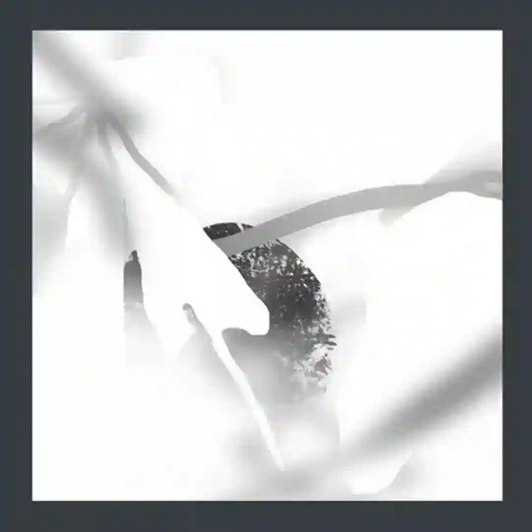 Arbit (Original Mix) cover