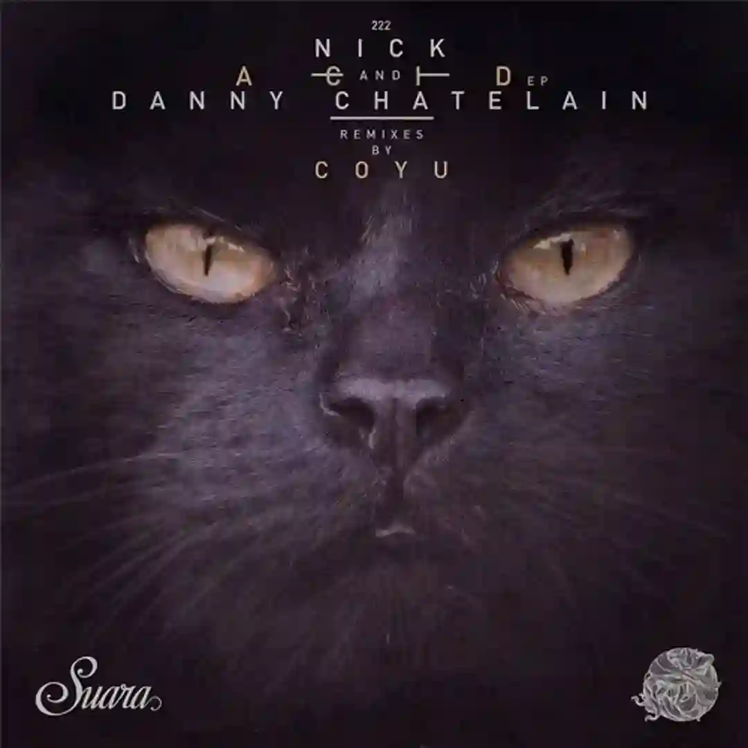 Acid EP cover