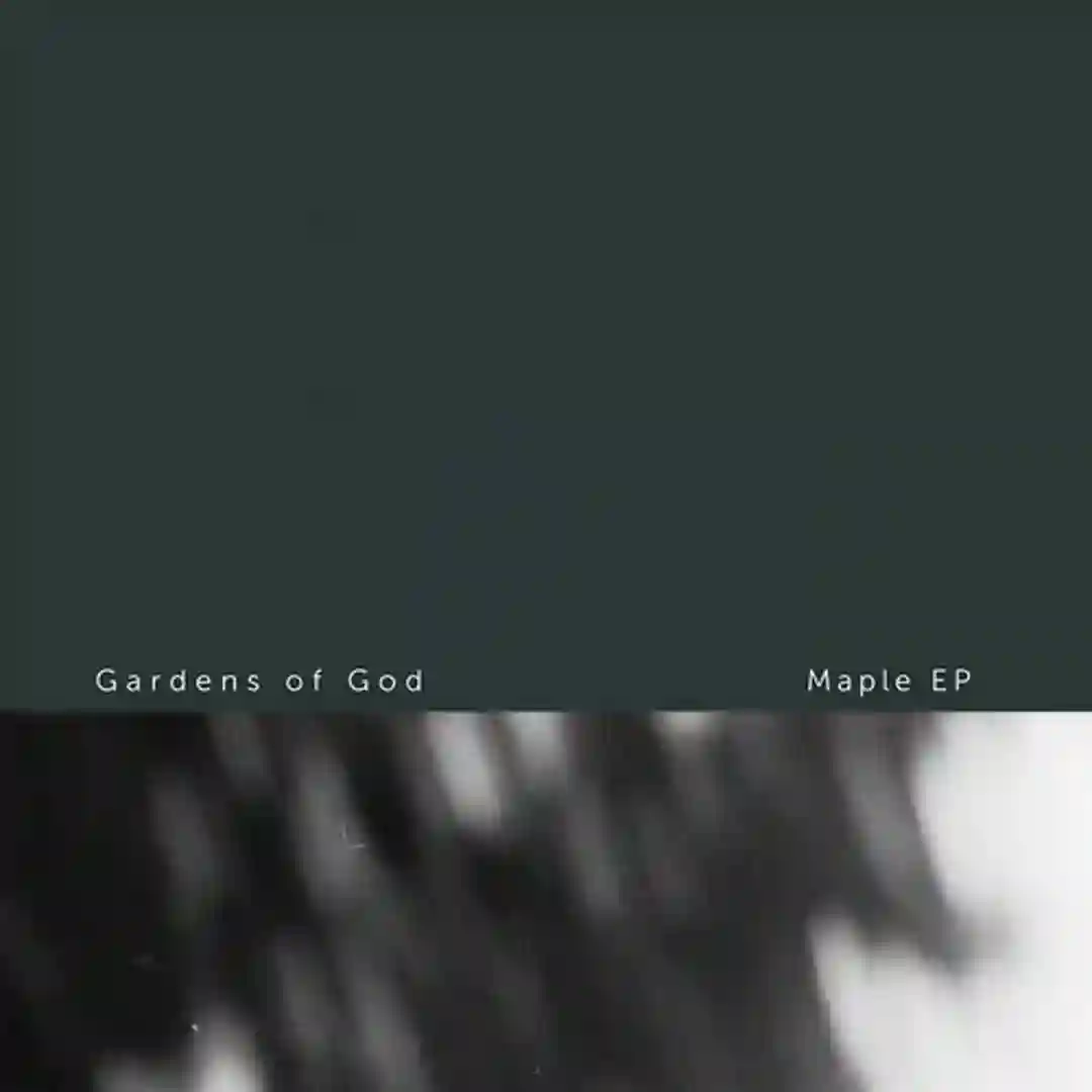 Maple (Original) cover