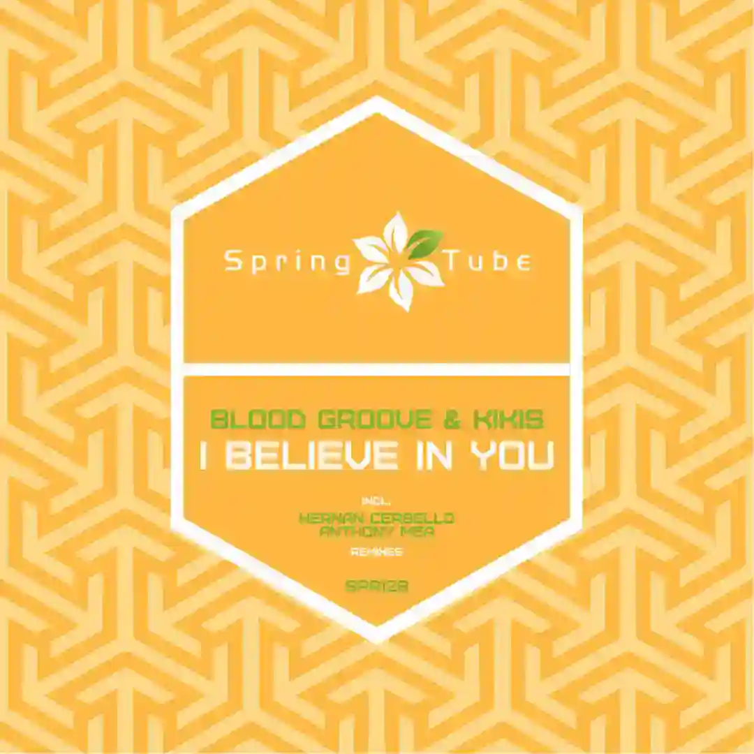 I Believe In You (Original Mix) cover
