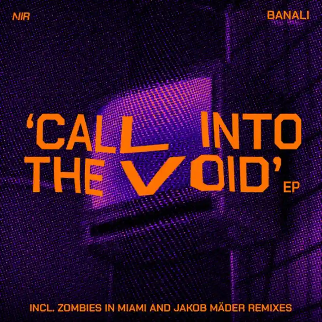 Call Into The Void (Zombies In Miami Remix) cover