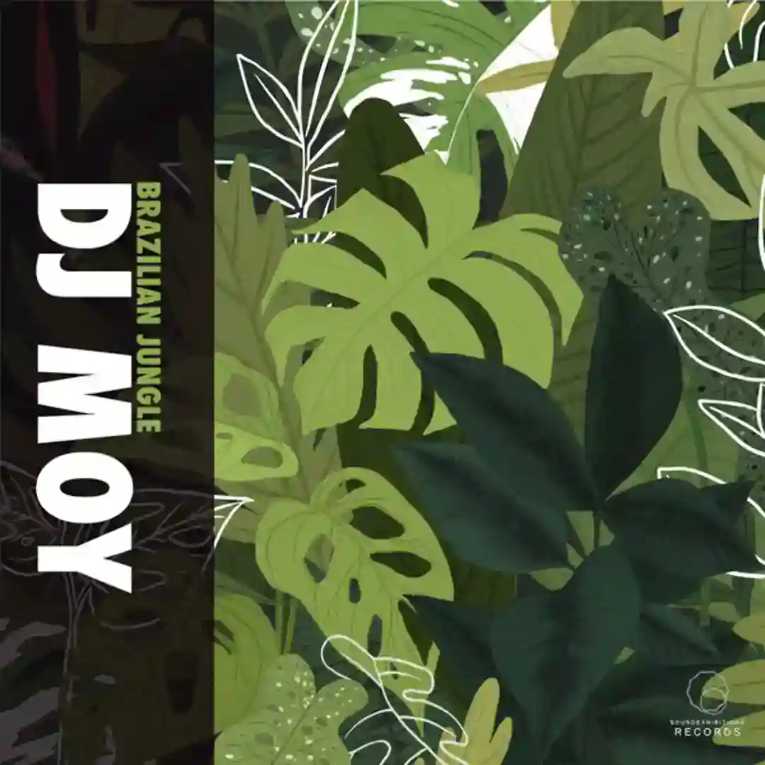 Hip Jungle (Original Mix) cover