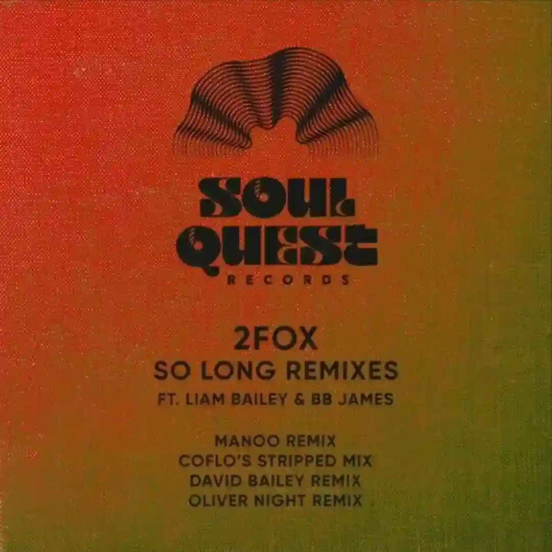 So Long Remixes cover