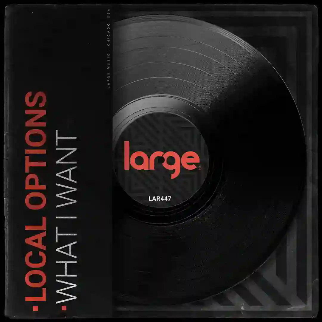 What I Want (Dub Mix) cover
