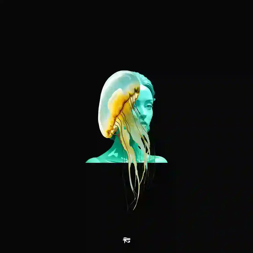 The Rise (Original Mix) cover